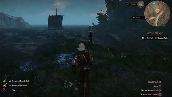 Witcher 3 - idle quest-giver