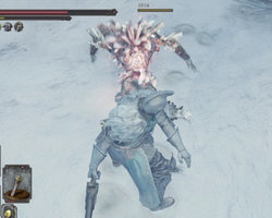 Dark Souls II: Scholar of the First Sin - covered in snow