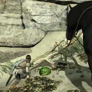 Shadow of the Colossus - watermelon