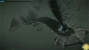 Shadow of the Colossus - Avion