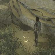 Shadow of the Colossus - gold coin