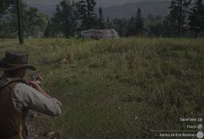 Red Dead Redemption II - hunting squirrel