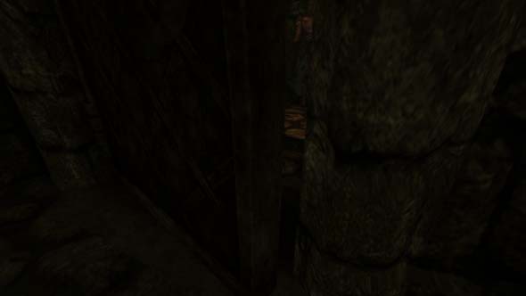 Amnesia: the Dark Descent - peeking through a door