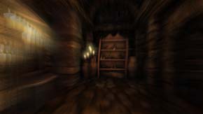 Amnesia: the Dark Descent - sanity blur effect