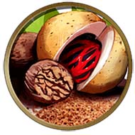 Civilization V - Indonesian Nutmeg