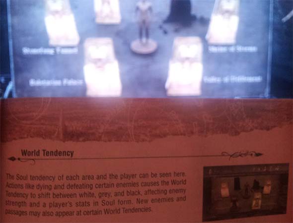 Demon's Souls - Tendency description in manual