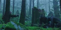 Dawn of the Planet of the Apes - forest meeting