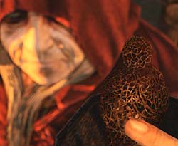 Dark Souls II - tutorial effigy