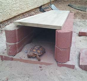 Koopa burrow 3 - floor and wall