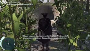 Assassin's Creed III - plantation raid