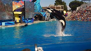 Sea World