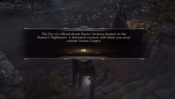 Bloodborne: the Old Hunters - Eye of Blood Drunk Hunter