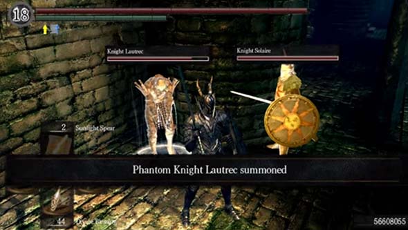 Dark Souls - summoned NPC