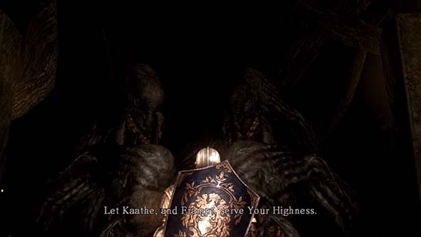 Dark Souls - Lord of Hollows