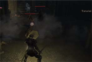 Demon's Souls - tutorial phantom guidance