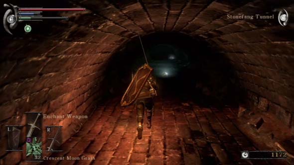 Demon's Souls - chasing Stonefeng lizards