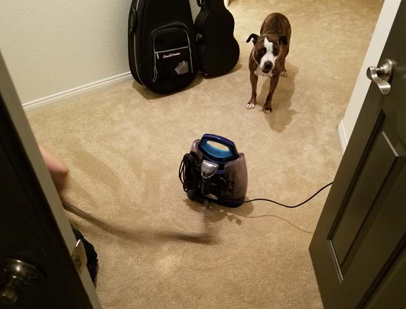 Cosette carpet cleaning