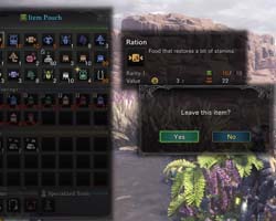 Monster Hunter: World - inventory full