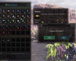 Monster Hunter: World - inventory full