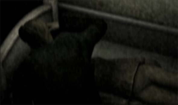 Silent Hill 2 - TV