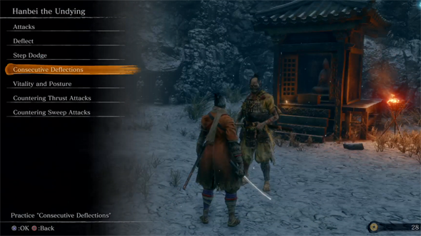 Sekiro - training