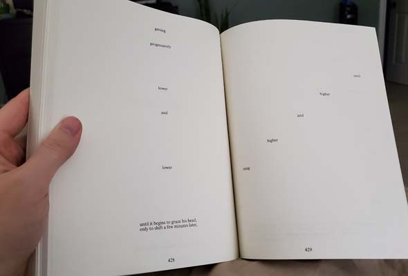 House of Leaves - descending and ascending text