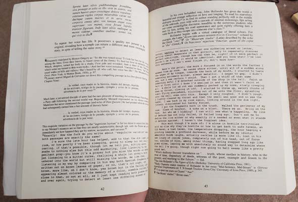 House of Leaves - footnotes