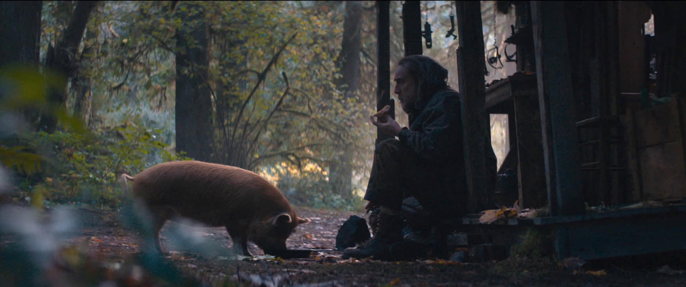 Whatever you think Pig is going to be, its not. But its probably better |  Mega Bears Fan