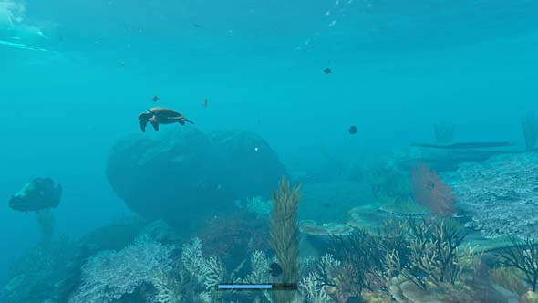 Stranded Deep - marine ecosystem