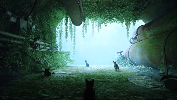 Stray Is a Cat's Perspective on a Dog's Life, Bringing Hope to Cyberpunk