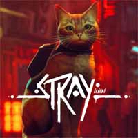 Stray - cover
