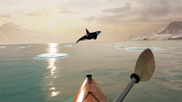 Kayak VR - orca