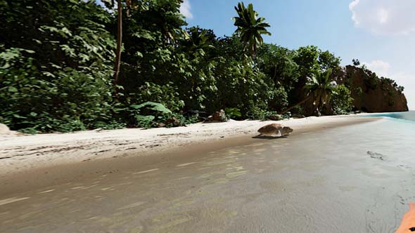 Kayak VR - turtle on the beach