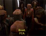 Star Trek DS9 - Brunt