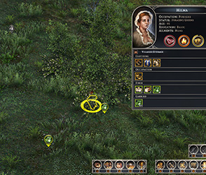 Farthest Frontier - forager work area