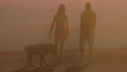 Grand Theft Auto V - couple walking dog on the beach