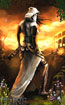 Trine - thief art work