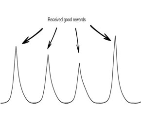 Monkey's brain response to reward