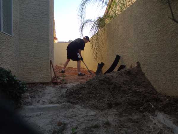 Breaking ground on Koopa's second burrow